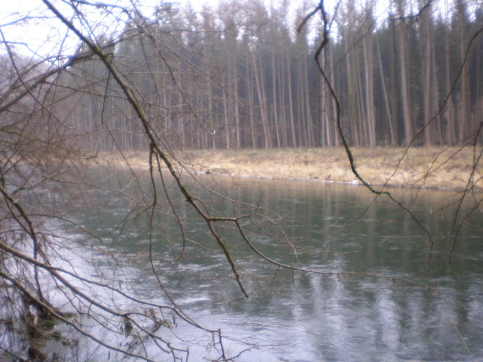 bouillon 197.jpg